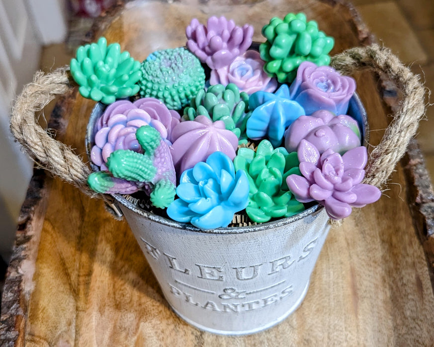 Limited Edition - Succulent Bucket