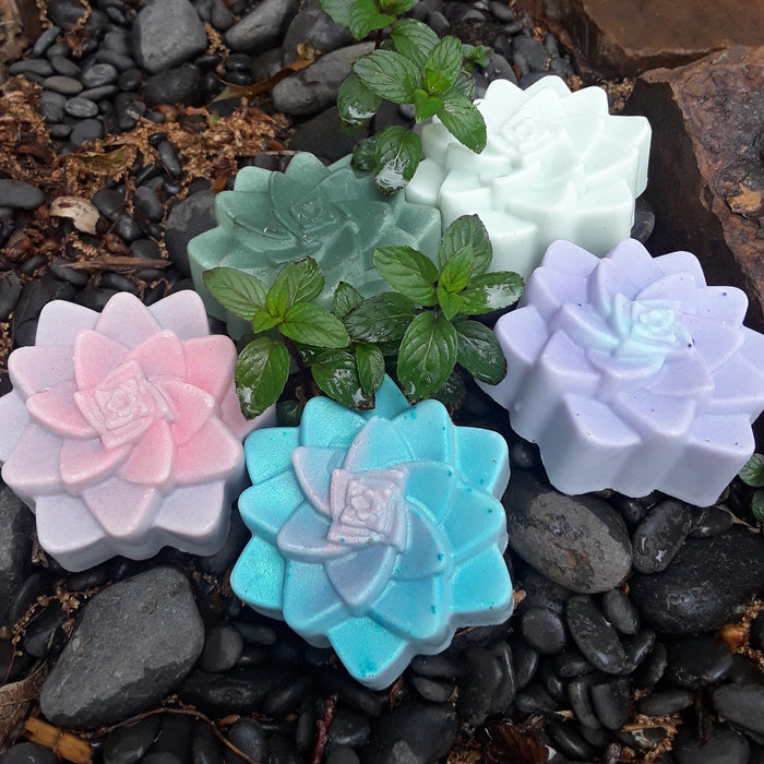 Succulent Soap in Goat's Milk